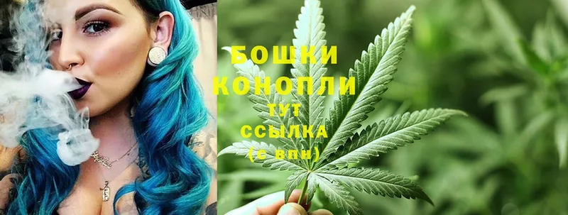 сайты даркнета наркотические препараты  Белорецк  Конопля OG Kush 